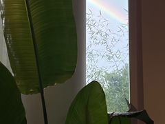 -莫内艺术岛海景咖啡