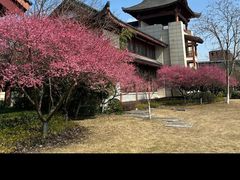 -浙江大学（紫金港校区）求是书院