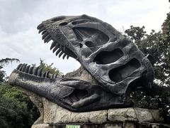 -自贡恐龙博物馆