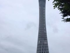 -珠江夜游广州塔·中大码头