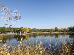 -永定河休闲森林公园