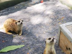 -水上乐园·欢乐世界