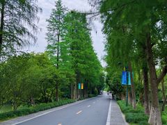 -西溪国家湿地公园