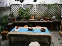 -普洱茶府(博乐广场店)