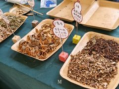 -广州神农草堂中医药博物馆