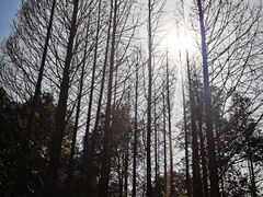 -南昌青山湖风景区