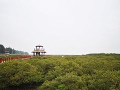 -北海金海湾红树林生态旅游区