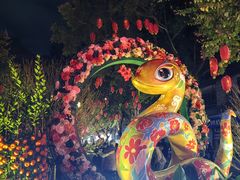 -越秀西湖花市(广州城市广场花卉店)
