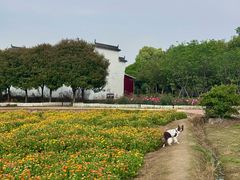 -武汉紫薇都市田园
