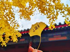 -承恩寺
