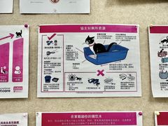-美联众合爱康动物医院•复杂内科•肿瘤科•牙科•腔镜诊疗中心