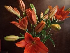 -南堂館川菜文化餐厅(天府店)