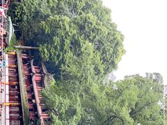 -青城山
