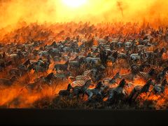 -罗红摄影艺术馆