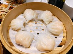 -高第街56号融合餐厅(振华五星百货店)