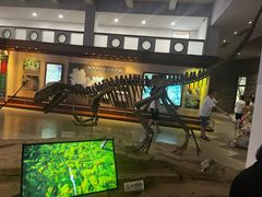 -自贡恐龙博物馆