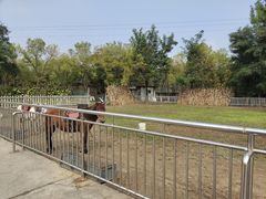-杨柳青庄园