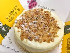 -熊猫不走蛋糕(东平店)