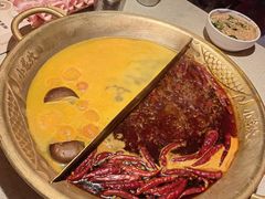 -小龙坎火锅(全球旗舰店)