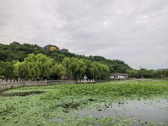 -北山公园