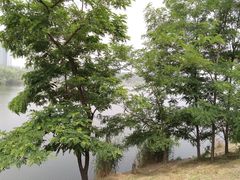 -森林公园(尖草坪区)