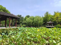 -南园(太仓市)