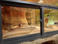 -酷嗒动物文化乐园(cutezoo西溪乐天城店)