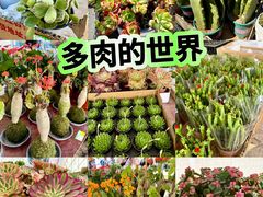 -国家植物园南园