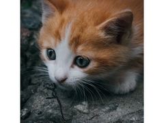 -中关村生命科学园