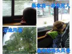 -皇家御河游(紫御湾码头)