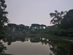 -杭州半山国家森林公园