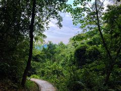 -火炉山森林公园