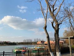 -上海长兴岛郊野公园