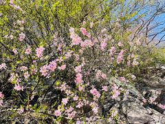 -玉渡山自然风景区