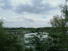 -溱湖国家湿地公园