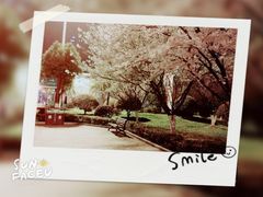 -武汉大学-樱园
