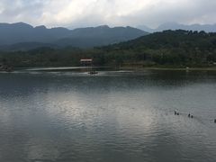 -田野绿世界