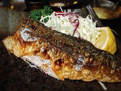 -春草居酒屋·晴子の店