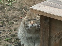 -青藏高原野生动物园