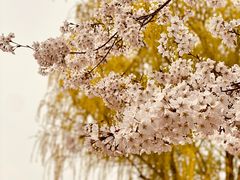 -国家植物园