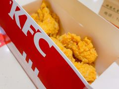 热辣香骨鸡-肯德基(丰北路店)