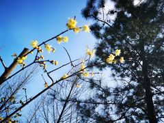 -白塘生态植物园