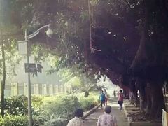 -情侣路