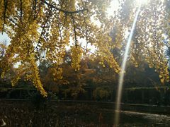 -四川大学(华西校区)