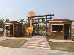 -上海长兴岛郊野公园