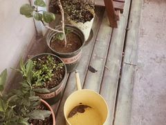 -长颈鹿咖啡(大学路店)