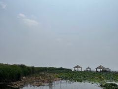 -哈素海