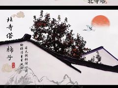 -北寺塔