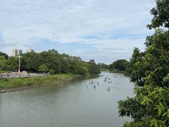 -海珠湖公园