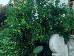 -东钱湖旅游度假区